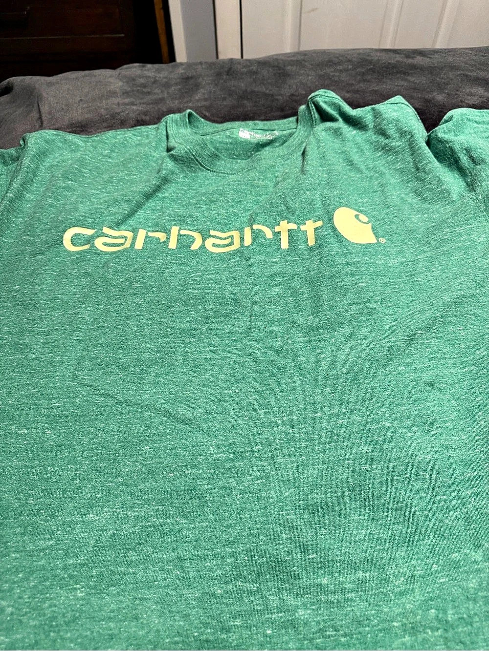Carhartt Signature Logo Short-Sleeve T-Shirt Green 2XL